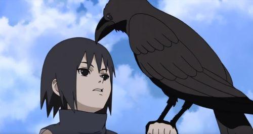 火影最新爆料秽土鼬返场,鼬神归来,火影世界风云再起 第3张 火影最新爆料秽土鼬返场,鼬神归来,火影世界风云再起 第3张